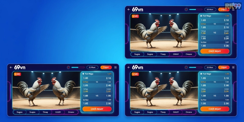 Top 2 nền tảng đá gà trực tiếp 69vn uy tín với giao diện cá cược chuyên nghiệp và biểu tượng trận đấu hấp dẫn